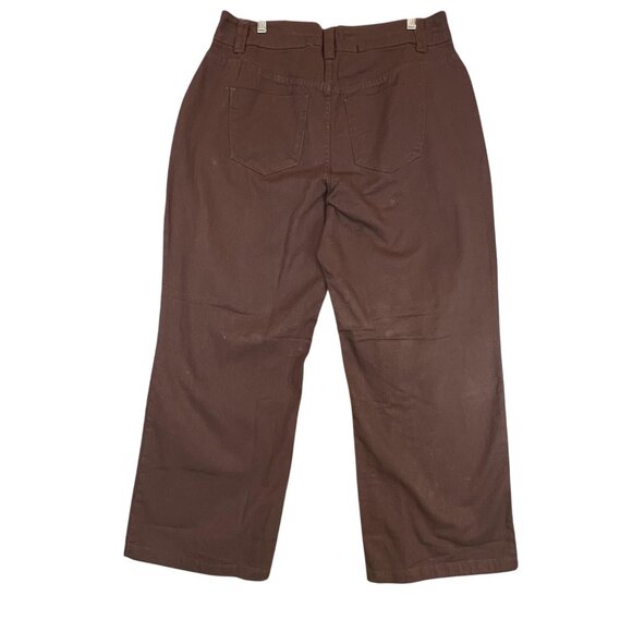 Womens 16W Brown Natural Fit Straight Leg  Jeans Pants Cotton Woman Within - Picture 2 of 12